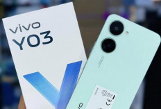 VIVO Y03: Smartphone Terjangkau 1 Jutaan dengan Baterai 5000 mAh 