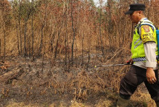 2 Hektar Lahan Gambut Terbakar di Madang Suku I, Polsek dan Warga Cek Lokasi