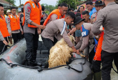 Polres Bantu Evakuasi Warga OKU Timur terdampak Banjir