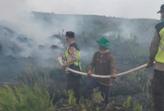 Empat Hektar Lahan Gambut PT GNS di OKU Timur Terbakar, Api Berhasil Dipadamkan