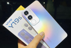 Vivo Y19s: Meluncur dengan Desain Elegan dan Dibekali IP64, Kamera 50MP 