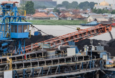 Izin Kontraktor Afiliasi Diperketat ESDM, Bos PTBA Buka Suara Soal Nasib PT SBS