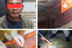 Pelaku Pembunuhan Berhasil diungkap Jajaran Tim Polres OKU Timur, Ini Motifnya