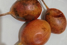 Manfaat Buah Markisa sebagai Pencegah Anemia Secara Alami