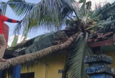 ​Angin Puting Beliung Terjang OKU Selatan, Empat Sekolah Rusak