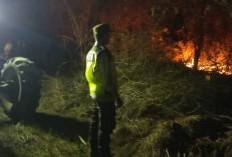 Api Kebun Tebu Meluas ke Lahan Karet Warga di Semendawai Timur OKU Timur