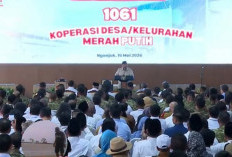Presiden Prabowo Resmikan 1.061 Koperasi Merah Putih, Bupati Lanosin Targetkan Kemandirian Ekonomi Desa